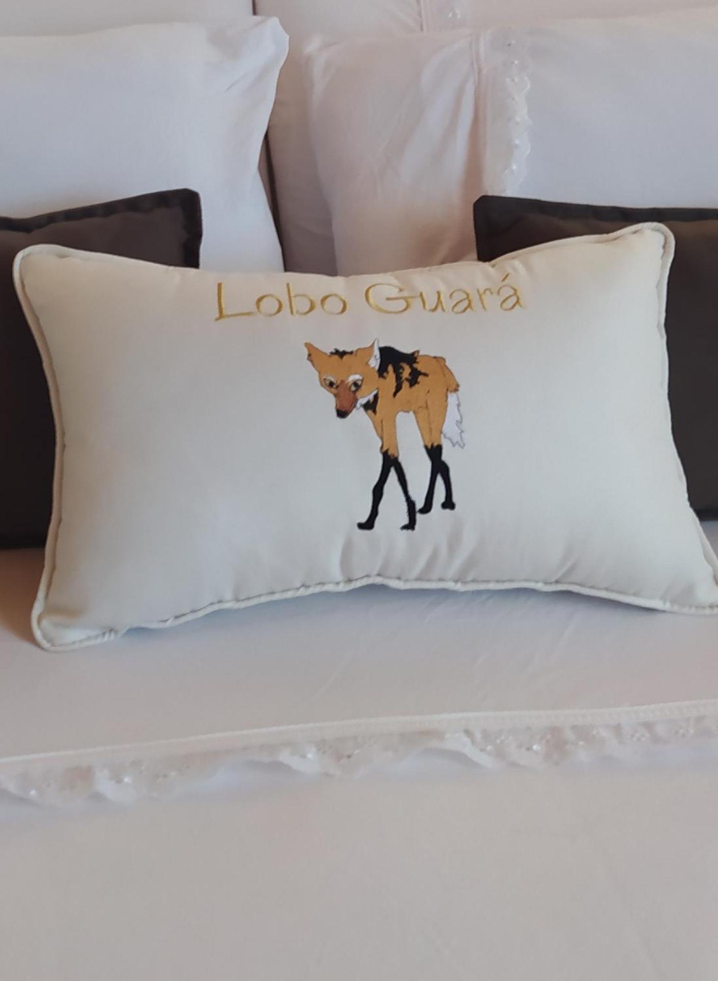 Lobo Guara Hospedagem Loft Alto Paraíso de Goiás Extérieur photo